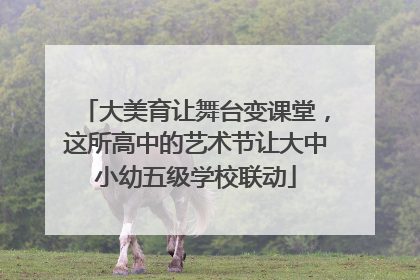 大美育让舞台变课堂，这所高中的艺术节让大中小幼五级学校联动