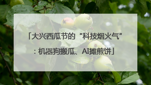 大兴西瓜节的“科技烟火气”：机器狗搬瓜、AI摊煎饼