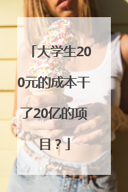 大学生200元的成本干了20亿的项目？
