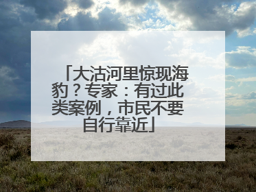 大沽河里惊现海豹？专家：有过此类案例，市民不要自行靠近