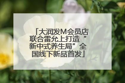 大润发M会员店联合雷允上打造“新中式养生局”全国线下新品首发