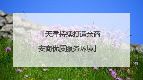 天津持续打造亲商安商优质服务环境