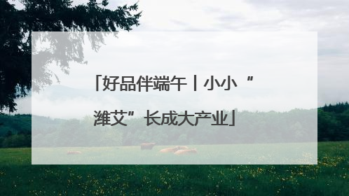 好品伴端午丨小小“潍艾”长成大产业