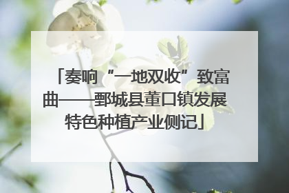 奏响“一地双收”致富曲——鄄城县董口镇发展特色种植产业侧记