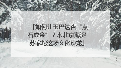 如何让玉巴达杏“点石成金”？来北京海淀苏家坨这场文化沙龙