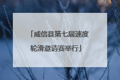 威信县第七届速度轮滑邀请赛举行