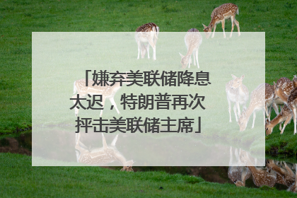 嫌弃美联储降息太迟，特朗普再次抨击美联储主席