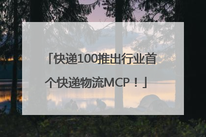 快递100推出行业首个快递物流MCP！