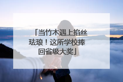 当竹木遇上掐丝珐琅！这所学校捧回省级大奖