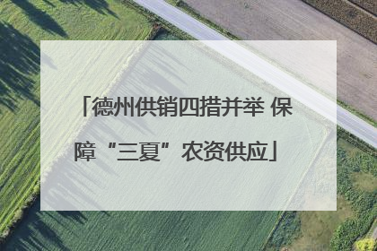 德州供销四措并举 保障“三夏”农资供应