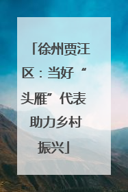 徐州贾汪区：当好“头雁”代表 助力乡村振兴