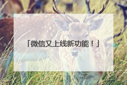 微信又上线新功能！