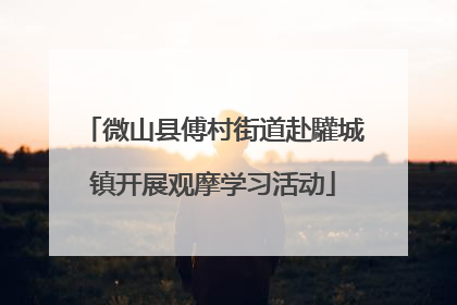 微山县傅村街道赴驩城镇开展观摩学习活动
