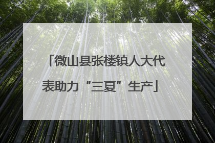 微山县张楼镇人大代表助力“三夏”生产