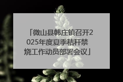 微山县韩庄镇召开2025年度夏季秸秆禁烧工作动员部署会议