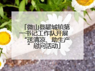 微山县驩城镇第一书记工作队开展“送清凉、助生产”慰问活动