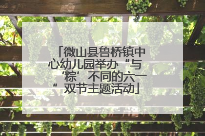 微山县鲁桥镇中心幼儿园举办“与‘粽’不同的六一”双节主题活动