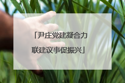 尹庄党建凝合力 联建议事促振兴