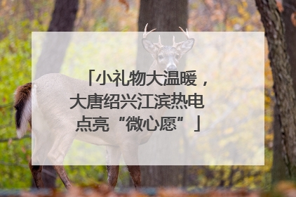 小礼物大温暖，大唐绍兴江滨热电点亮“微心愿”