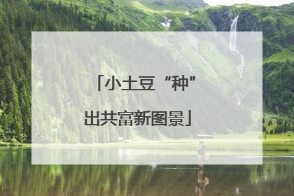 小土豆“种”出共富新图景