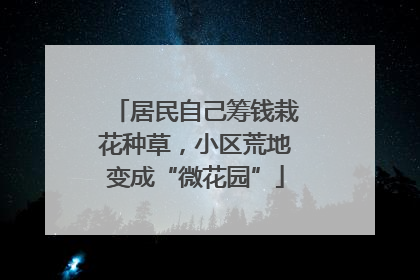 居民自己筹钱栽花种草，小区荒地变成“微花园”