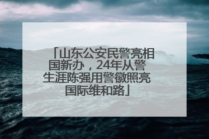 山东公安民警亮相国新办，24年从警生涯陈强用警徽照亮国际维和路
