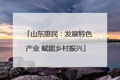 山东惠民：发展特色产业 赋能乡村振兴