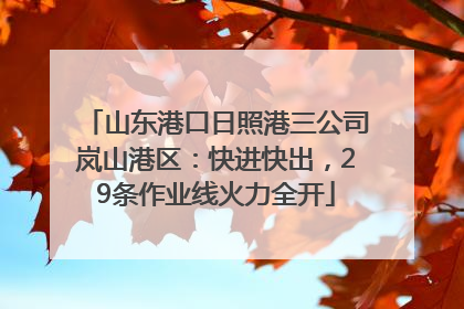 山东港口日照港三公司岚山港区：快进快出，29条作业线火力全开