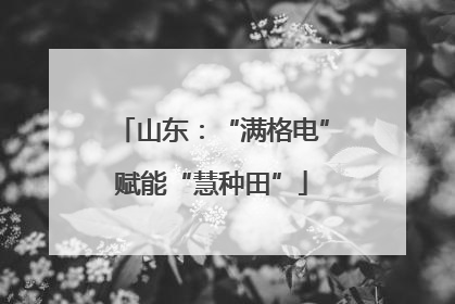 山东：“满格电”赋能“慧种田”