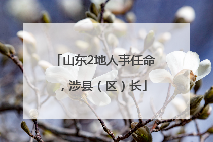 山东2地人事任命，涉县（区）长