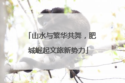 山水与繁华共舞，肥城崛起文旅新势力