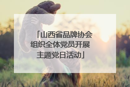 山西省品牌协会组织全体党员开展主题党日活动