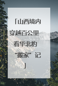 山西境内穿越百公里 看华北豹“搬家”记