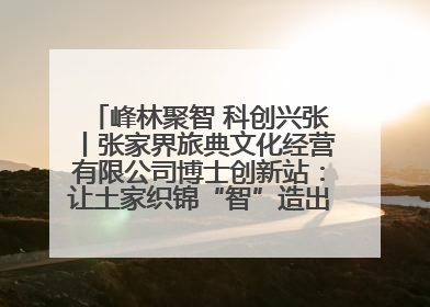 峰林聚智 科创兴张丨张家界旅典文化经营有限公司博士创新站：让土家织锦“智”造出非遗新传奇