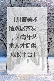 川音美术馆双展齐发，为青年艺术人才提供成长平台