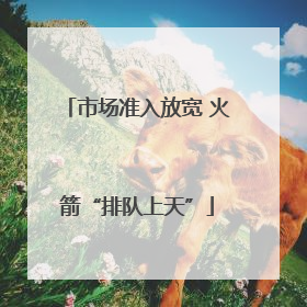 市场准入放宽 火箭“排队上天”