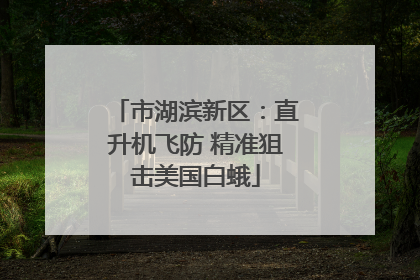 市湖滨新区：直升机飞防 精准狙击美国白蛾