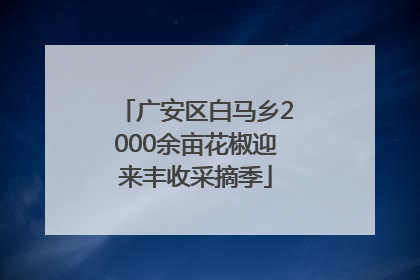 广安区白马乡2000余亩花椒迎来丰收采摘季