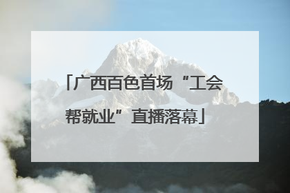 广西百色首场“工会帮就业”直播落幕