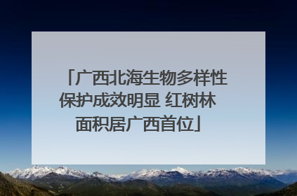 广西北海生物多样性保护成效明显 红树林面积居广西首位
