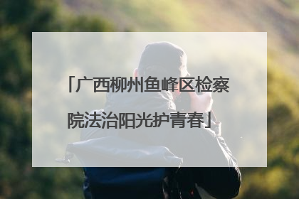 广西柳州鱼峰区检察院法治阳光护青春