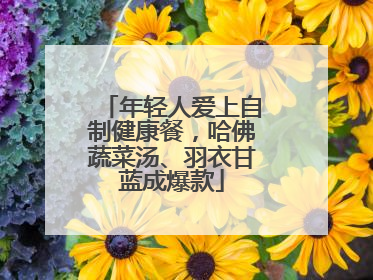 年轻人爱上自制健康餐，哈佛蔬菜汤、羽衣甘蓝成爆款