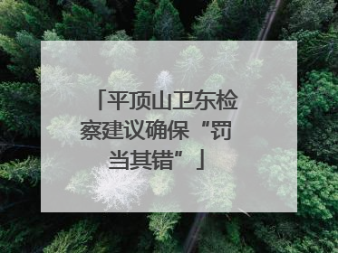 平顶山卫东检察建议确保“罚当其错”