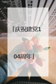 庆祝建党104周年