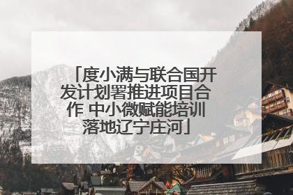 度小满与联合国开发计划署推进项目合作 中小微赋能培训落地辽宁庄河