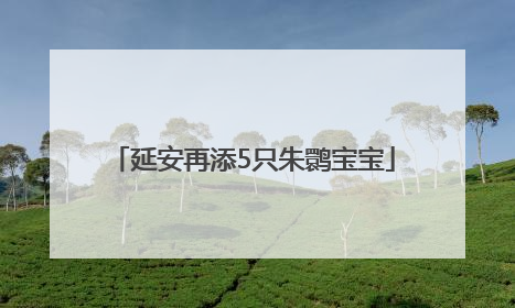 延安再添5只朱鹮宝宝