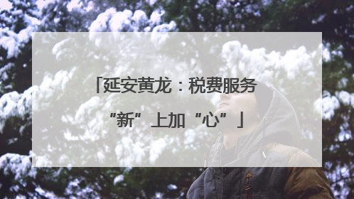 延安黄龙：税费服务“新”上加“心”
