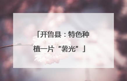 开鲁县：特色种植一片“薯光”