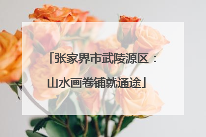 张家界市武陵源区:山水画卷铺就通途