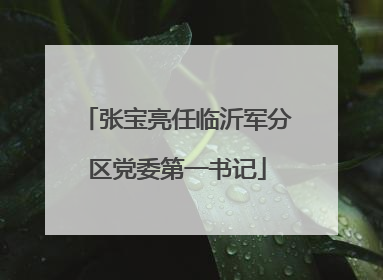 张宝亮任临沂军分区党委第一书记